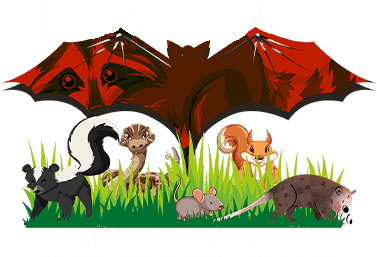 Ultimate Pro Wildlife Removal